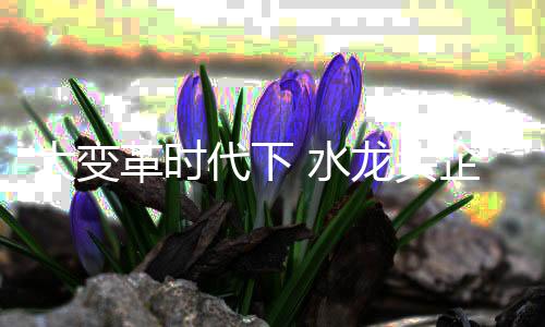大变代下通过不断的水龙创新