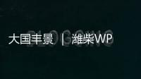 大国丰景 ｜ 潍柴WP4.6N收获机动力	，低速高效真省油！