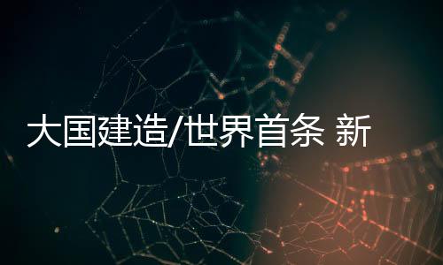 这种梯次型的先进防沙体系