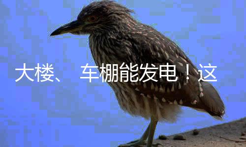 车棚施工人员正在检查光伏板