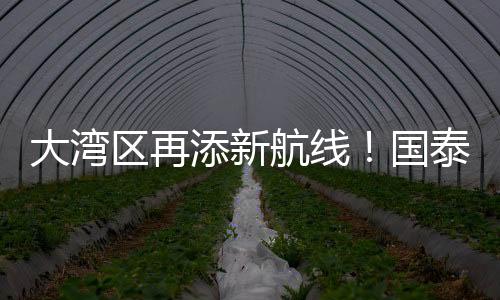 大湾大湾区再添一条新航线