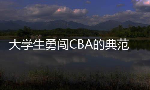 张宁上一份合同为B类合同