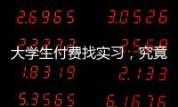 快排公司十年历程，霸屏兔 seo 的崛起与坚守
