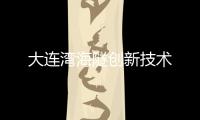 快排公司十年历程，霸屏兔 seo 的崛起与坚守