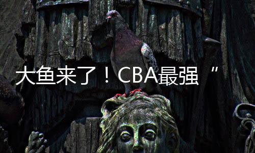 疯抢联手胡金秋	�、或被本赛季