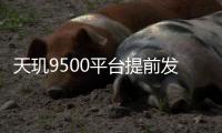 快排公司十年历程，霸屏兔 seo 的崛起与坚守