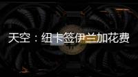快排公司十年历程，霸屏兔 seo 的崛起与坚守