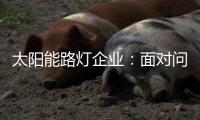 太阳能路灯企业：面对问题要善于抓重点