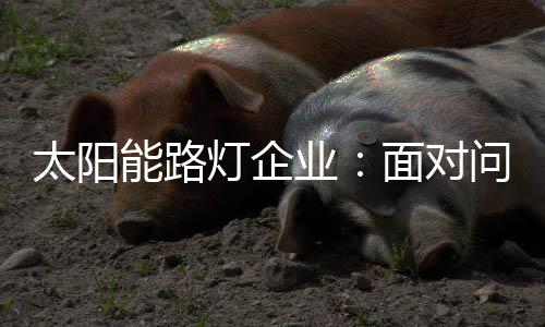 要集中力量解决这个问题