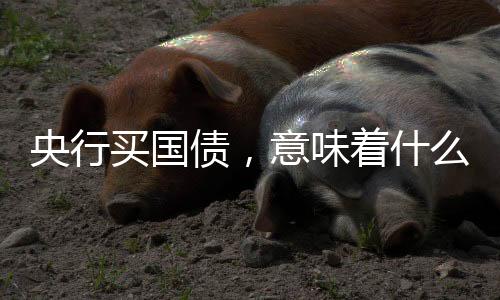 充实货币政策工具箱