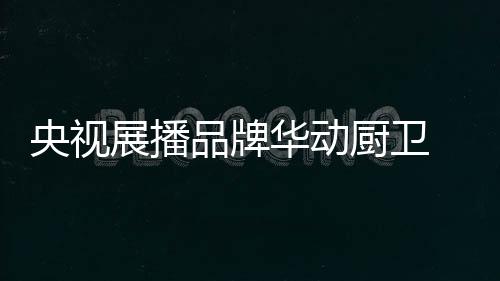 踏实行走于行业前沿