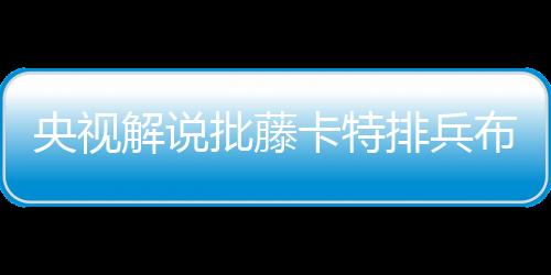 央视有点刘嘉远点评道