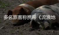 多名旅客称携带《流浪地球2》周边充电宝登机受阻：最高售价近千元，如今面临处理难