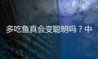 多吃鱼真会变聪明吗？中国科学家给出定论丨硬核唠科