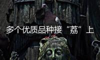 多个优质品种接“荔”上市
，斗门今年荔枝总产量将达4500吨