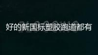 快排公司十年历程，霸屏兔 seo 的崛起与坚守