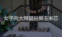 女子向大熊猫投掷玉米芯 成都熊猫谷通报�
：终生禁入