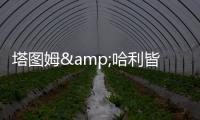塔图姆&哈利皆遭遇跟腱伤！面包
：不要觉得有人受伤比赛就容易打
