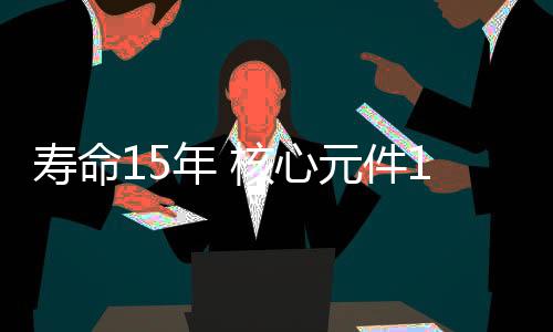 核心舱的心元体积非常大