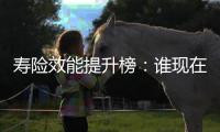 寿险效能提升榜：谁现在领先	？谁拥有未来？