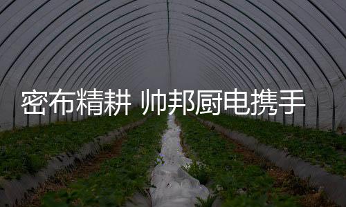 密布多渠道的精耕品牌宣传