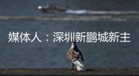 媒体人：深圳新鹏城新主帅很快将官宣，有中国联赛执教经验