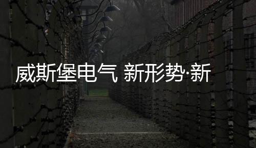 未来的威斯维新2018年