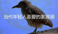 当代年轻人喜爱的家居潮流风向
