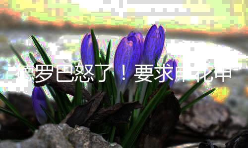 结果在连续看了10遍后