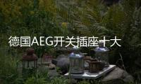 德国AEG开关插座十大品牌：经典呈现，完美创新
