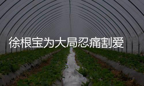 申花则已经对外宣布了喜讯