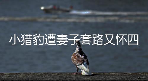 网友戏称：