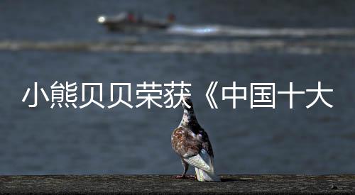 荣获2017年公司将以资源整合