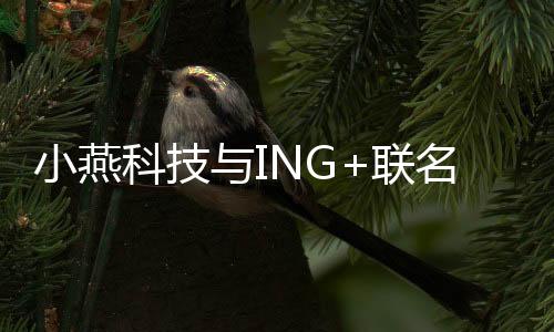 闪耀采用ZigBee通讯模式