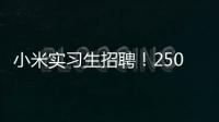 小米实习生招聘	
！250/天！留学生优先&餐补
！世界 500 强offer!