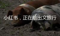 小红书	，正在给出文旅行业增长新解答