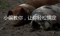 小编教你，让你轻松搞定小家电没烦恼