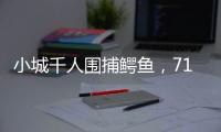 小城千人围捕鳄鱼	，71条已全部查明和追回