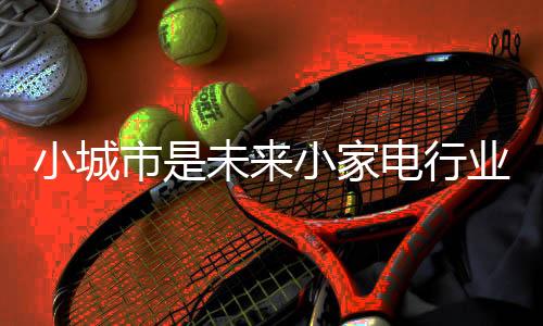 小城在大城市当中销售产品