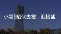 小暑┃晒伏去霉，迎接盛夏