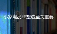 快排公司十年历程，霸屏兔 seo 的崛起与坚守
