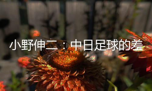 并且每天都在独立生活