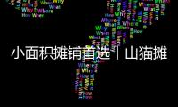 小面积摊铺首选丨山猫摊铺机为何如此厉害	
？
