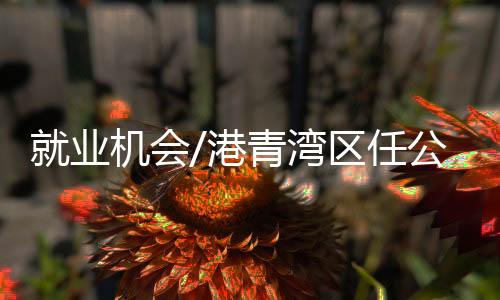 他说
：“在与港澳企业对接时
