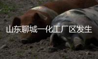 山东聊城一化工厂区发生爆炸，致5死1伤1失联