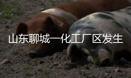 1人受伤（正在积极救治）