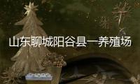 山东聊城阳谷县一养殖场发现炭疽病例，接触者已隔离治疗