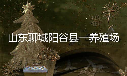 山东未发现其他阳性家畜