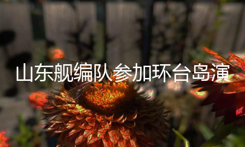 队参海上封锁等行动演练