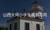 山西大同小学生遭多名同学辱骂、殴打	、欺凌	，官方通报